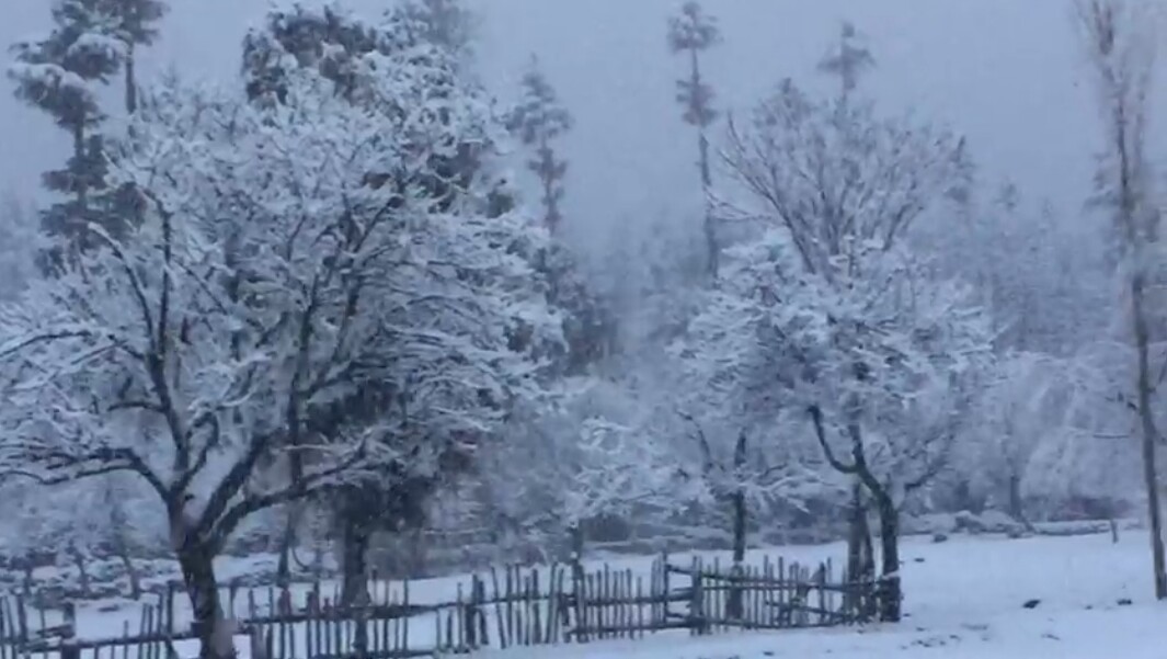سوات میں کہاں کہاں برفباری ہوئی، سیاحوں اور مقامی افراد نے برف سے لطف اٹھایا