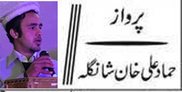 زرا سوچئے! تحریر : حماد علی خان شانگلہ