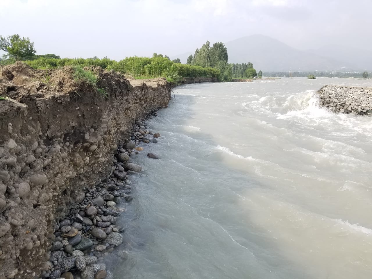دریائے سوات کی بہاو میں مسلسل اضافہ،کھڑی فصلیں اور کئی مکان زیر آب
