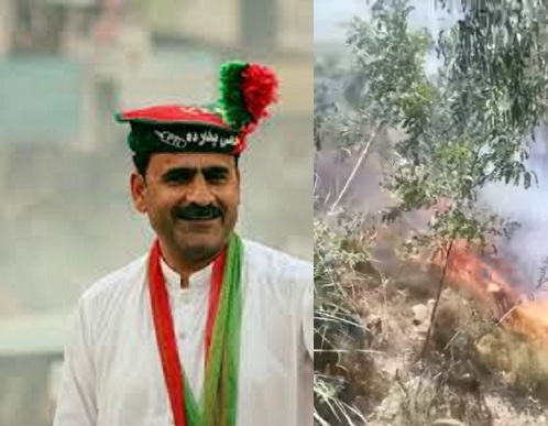 فضل حکیم نے منہ پر تالہ لگا دیا، سوات میں 16 سے زائد مقامات پر اگ نے ہزاروں پودوں کو جلادیا