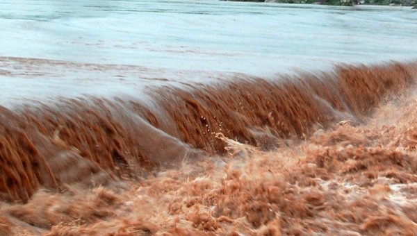 پنجاب میں بارشوں نے تباہی مچادی،17 افراد جاں بحق