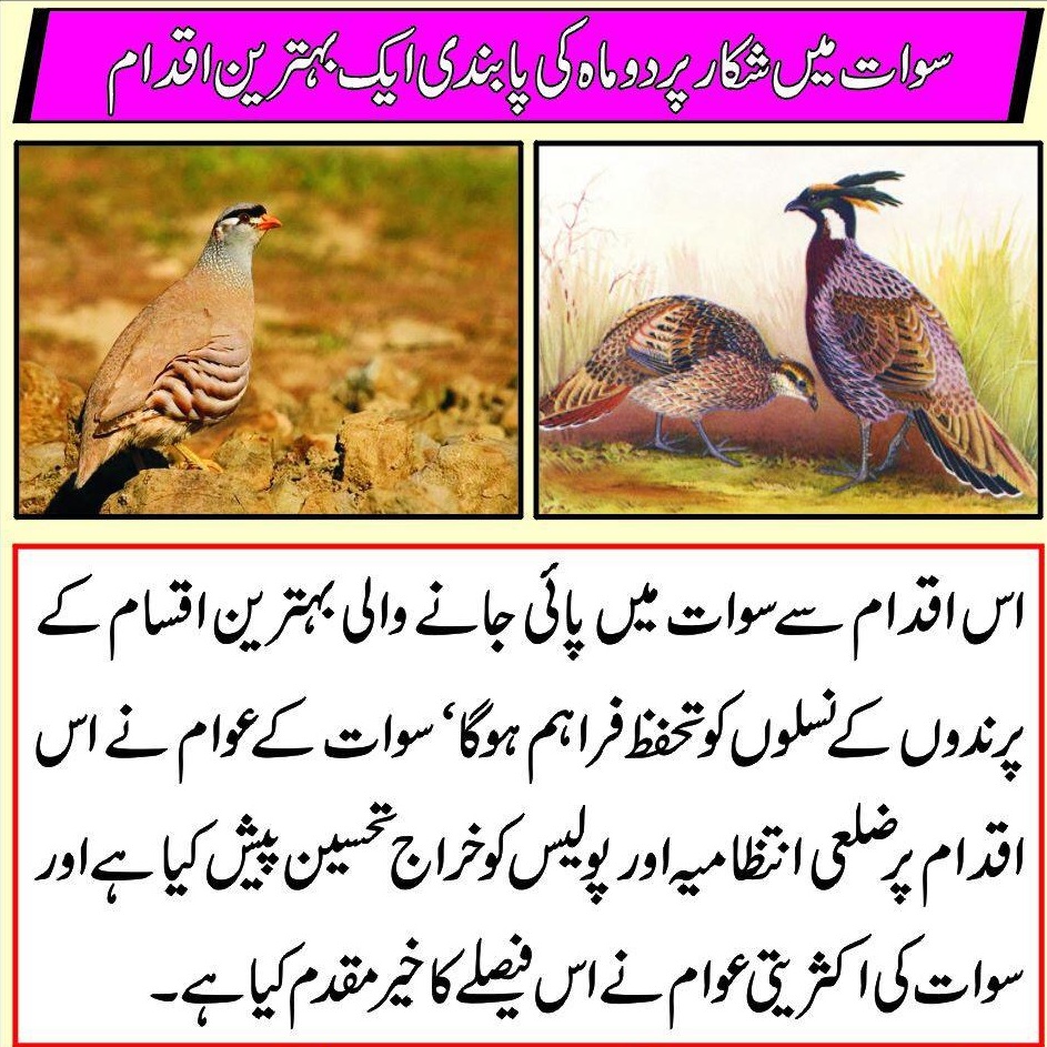 قدرتی حسن جنگلات کو تباہ کرنے والوں کے ساتھ کوئی رعایت نہیں برتی جائیگی،سید اشفاق انور ضلعی پولیس سربراہ