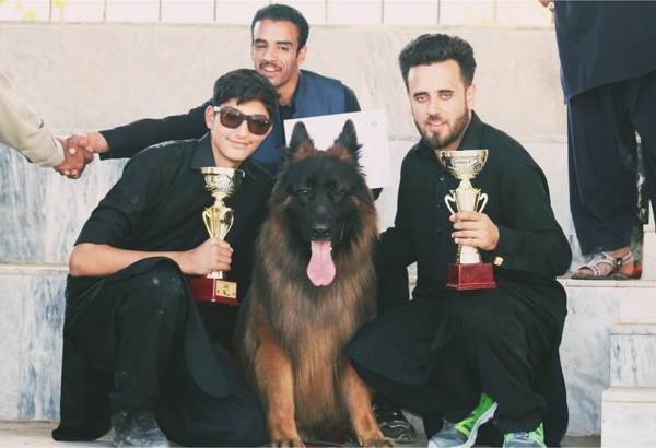 سوات میں پہلا ڈاگ شو ، شائقین کی امد ، کتوں کی کیٹ واک