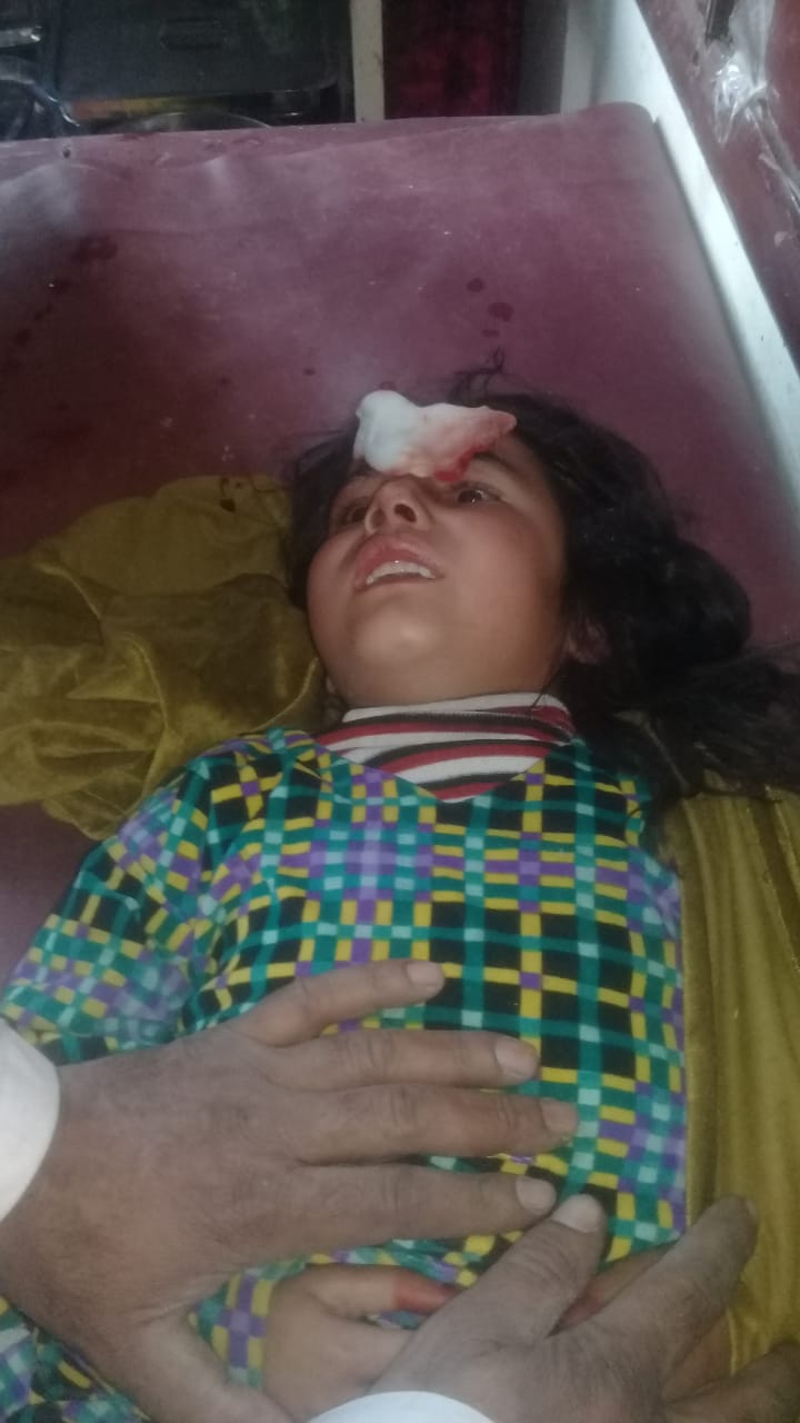 مدین میں باولے کتوں کا راج ,سرکاری ویکسین نایاب۔عوام پریشان