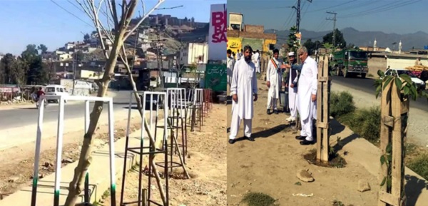 بلوگرام گراونڈ کے درخت نامعلوم افراد نے کاٹ دئے، تین سال کی محنت ضائع