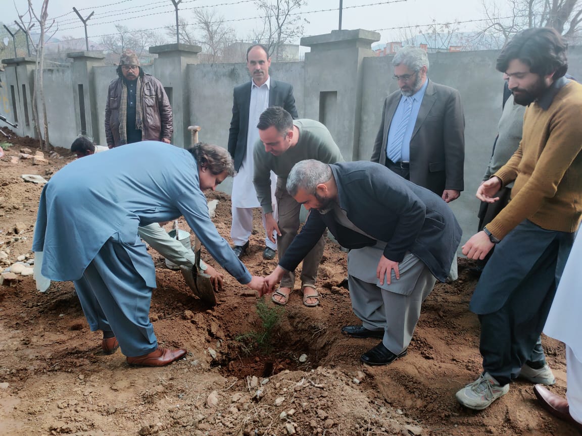 سوات یونیورسٹی میں شجرکاری مہم شروع