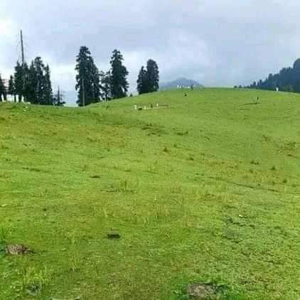 نہاگدرہ دیر اپر ، گاوں بڈالئی کی خوبصورتی دیکھنے کےقابل