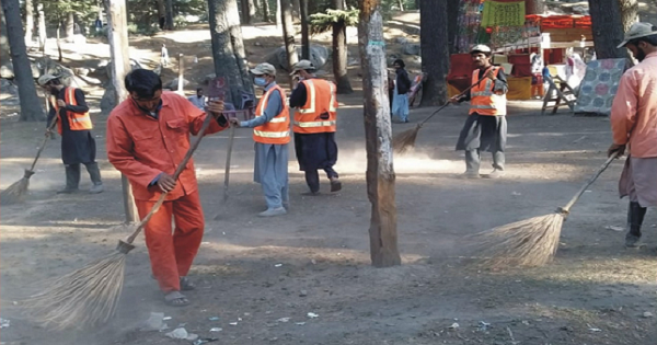 سوات،واسا نے جنگلات کی صفائی کاکام شروع کردیا