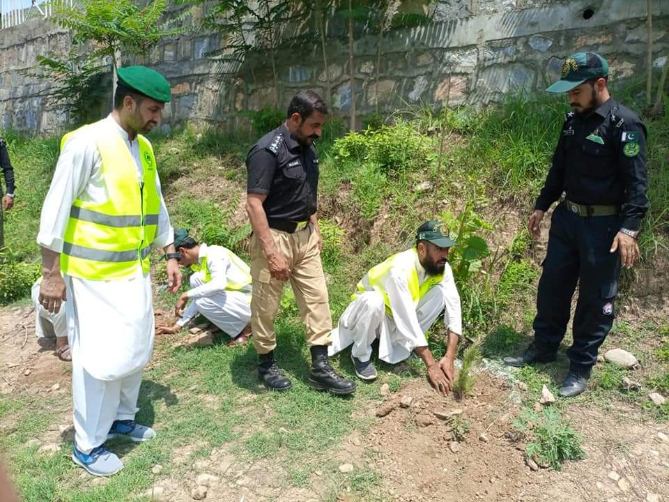 میرے لگائے ہوئے پیڑ چھاوں دیتے رہیں