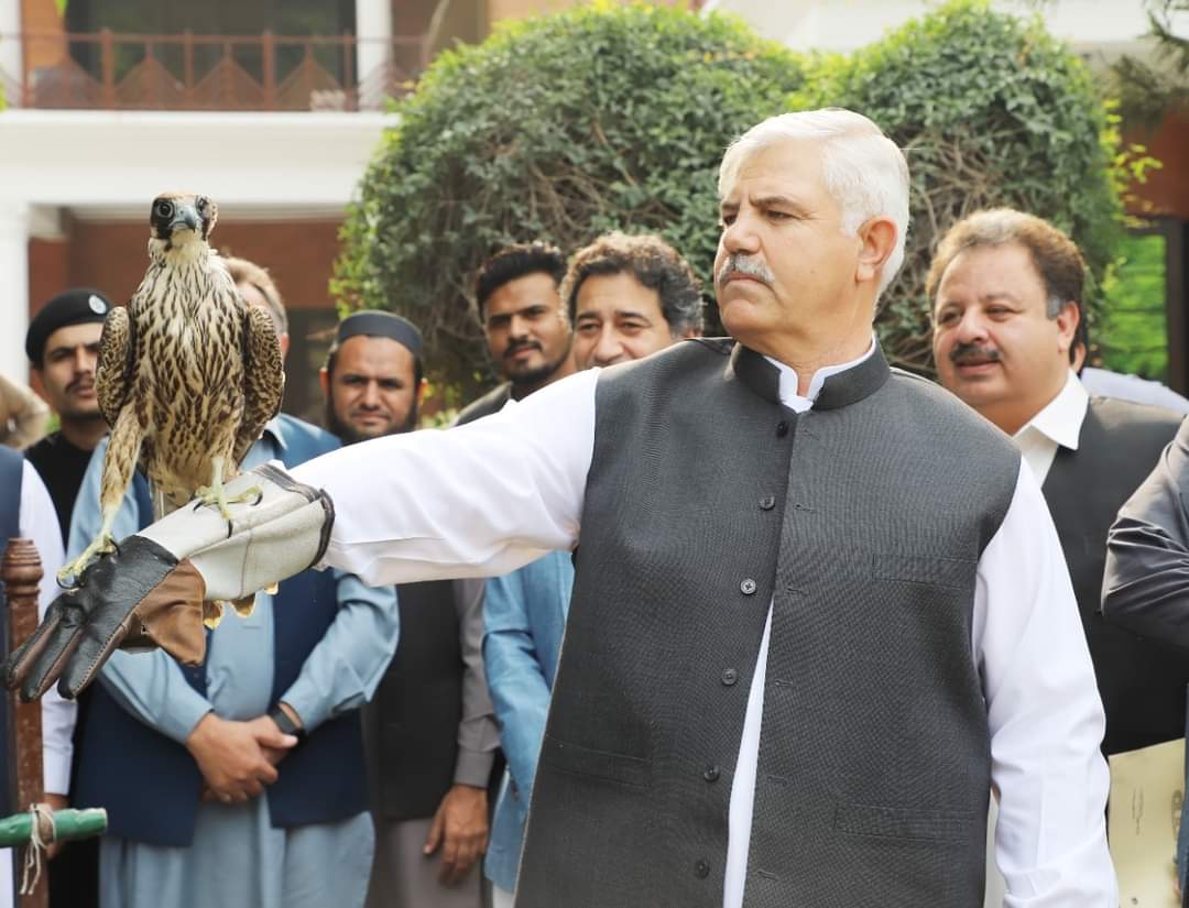 وزیراعلی محمود خان نے پکڑےگئے2نایاب باز ازاد چھوڑدئیے