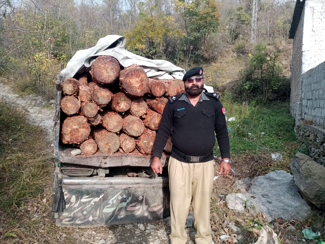 سوات، پولیس نے قیمتی درخت کی سمگلنگ ناکام بنادی