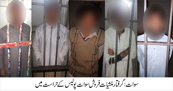 سوات،نارکاٹکس کے خلاف سوات پولیس ان ایکشن،متعدد منشیات فروش گرفتار