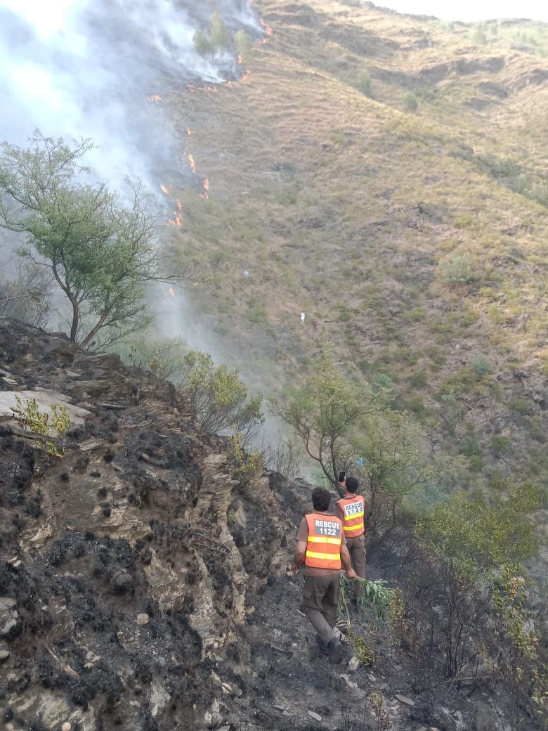 صوبہ خیبرپختونخوا میں جنگلات و میدانی جھاڑیوں کو آگ لگنے کی مفصل مشاہداتی رپورٹ جاری، افسوسناک انکشافات